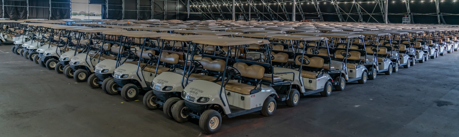 2020 E-Z-GO Freedom® RXV® for sale in A-1 Golf Carts, Sun Lakes, Arizona